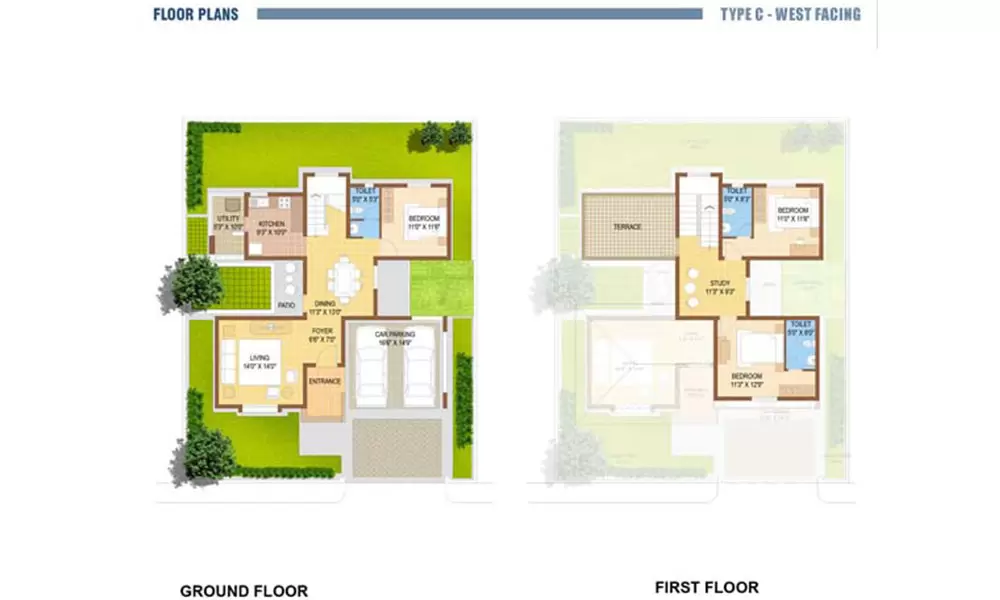 Oceanus Dwellings (P) Ltd
